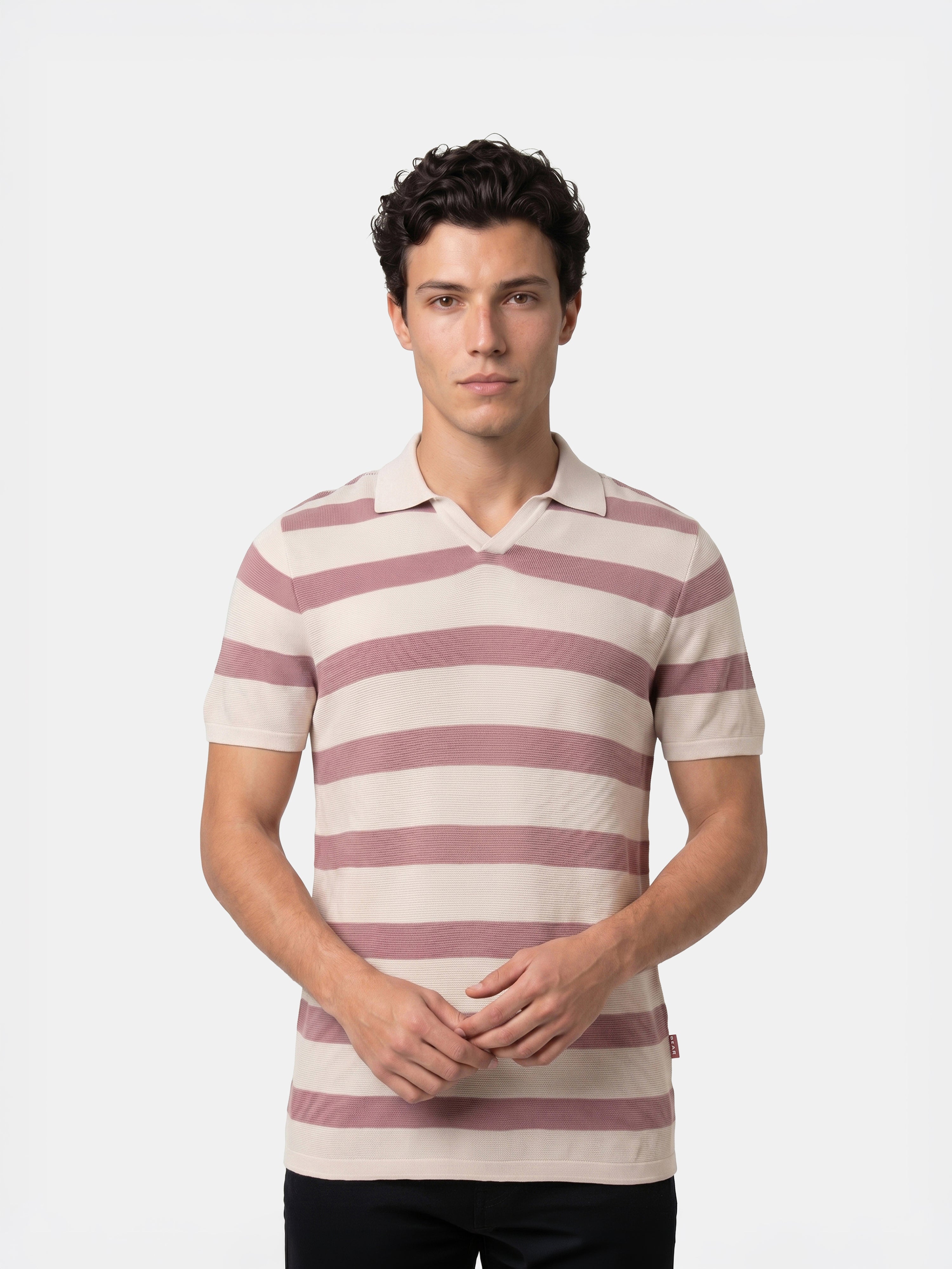 Men Pink Regular Fit Polo