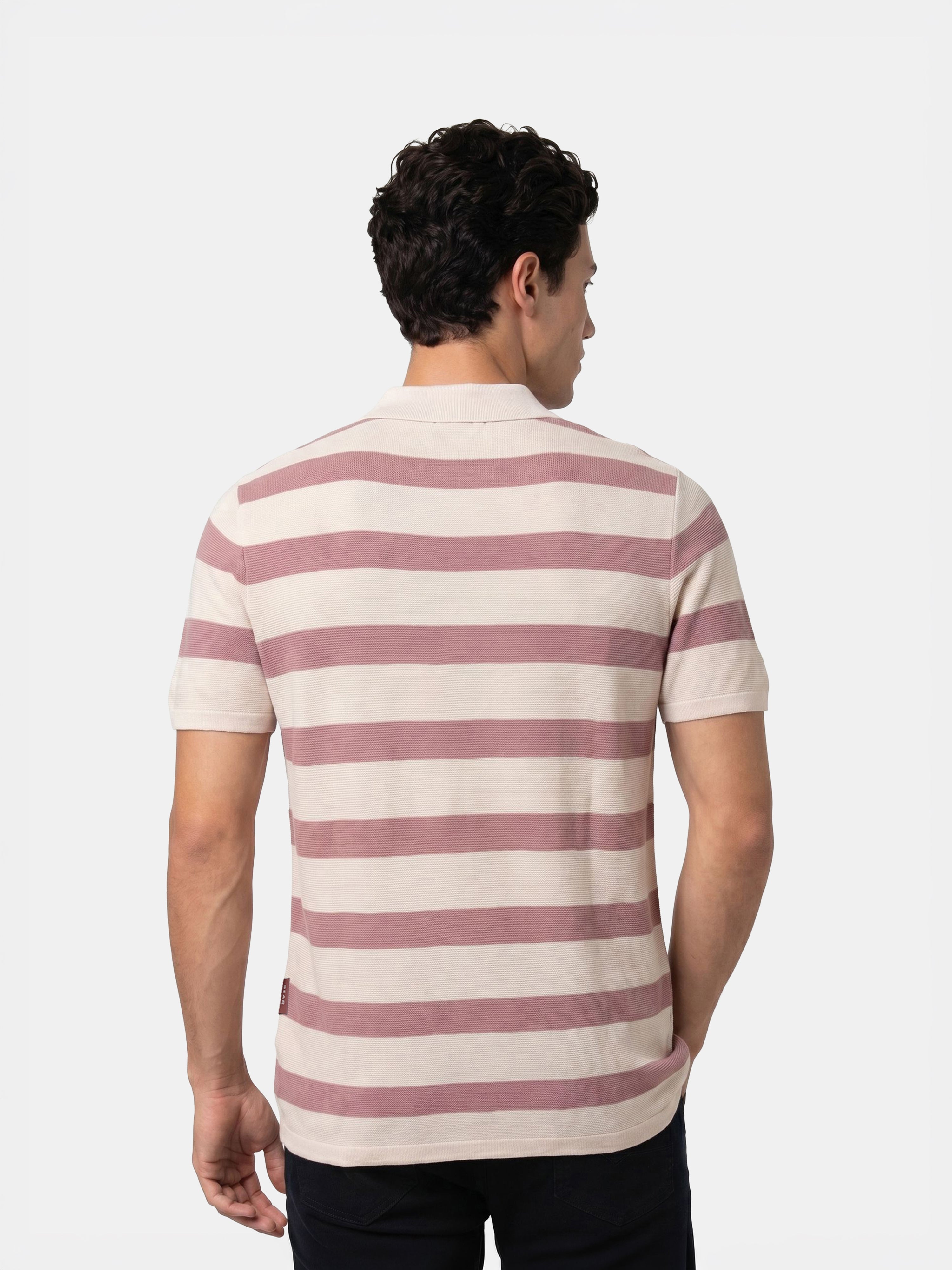 Men Pink Regular Fit Polo