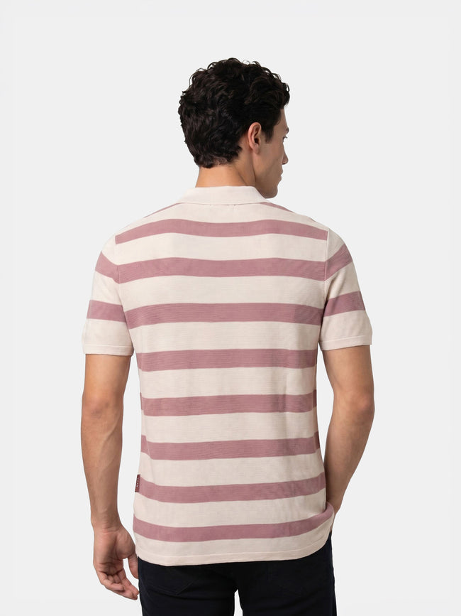Men Pink Regular Fit Polo