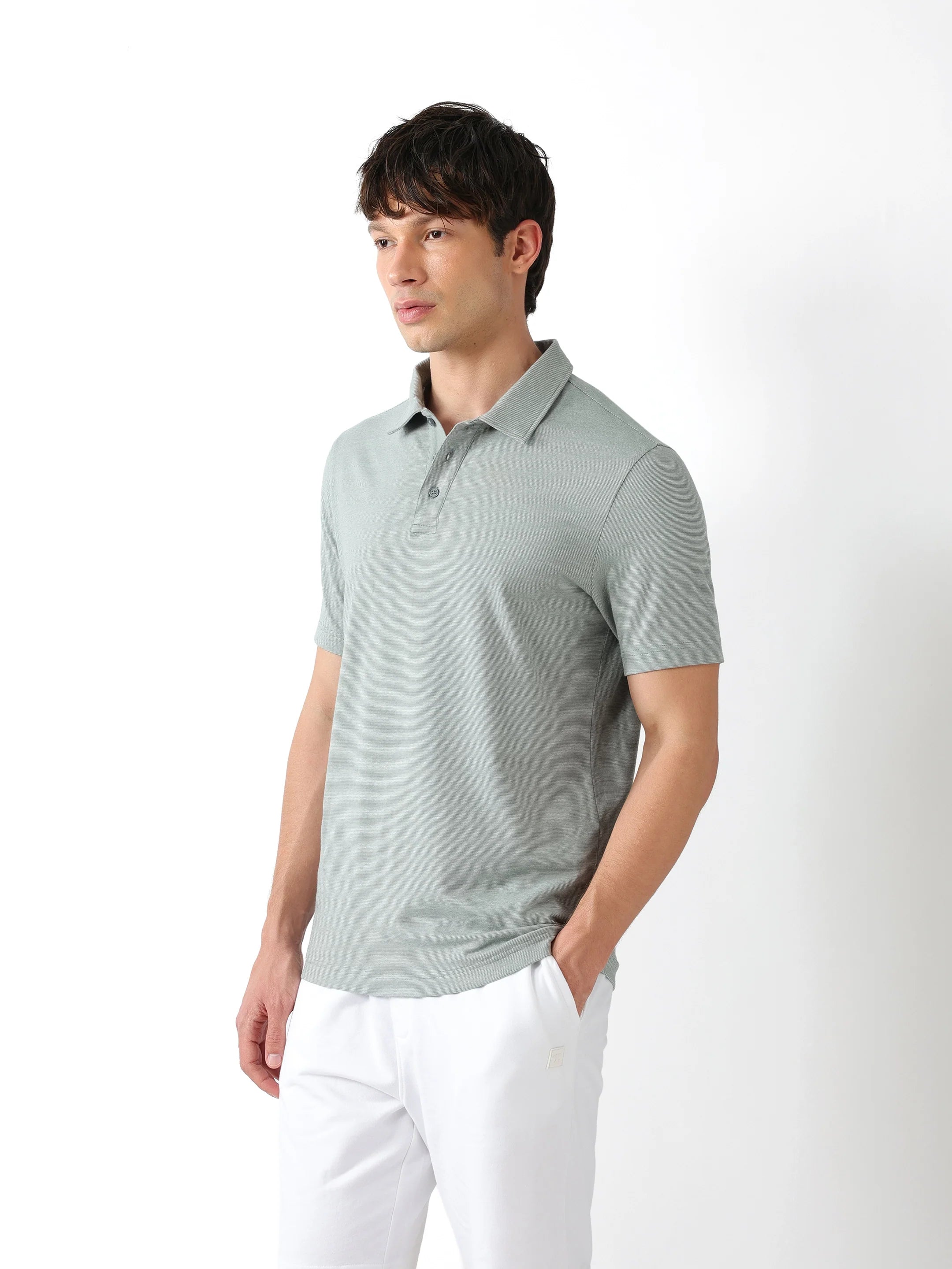 Men Green Regular Fit Polo