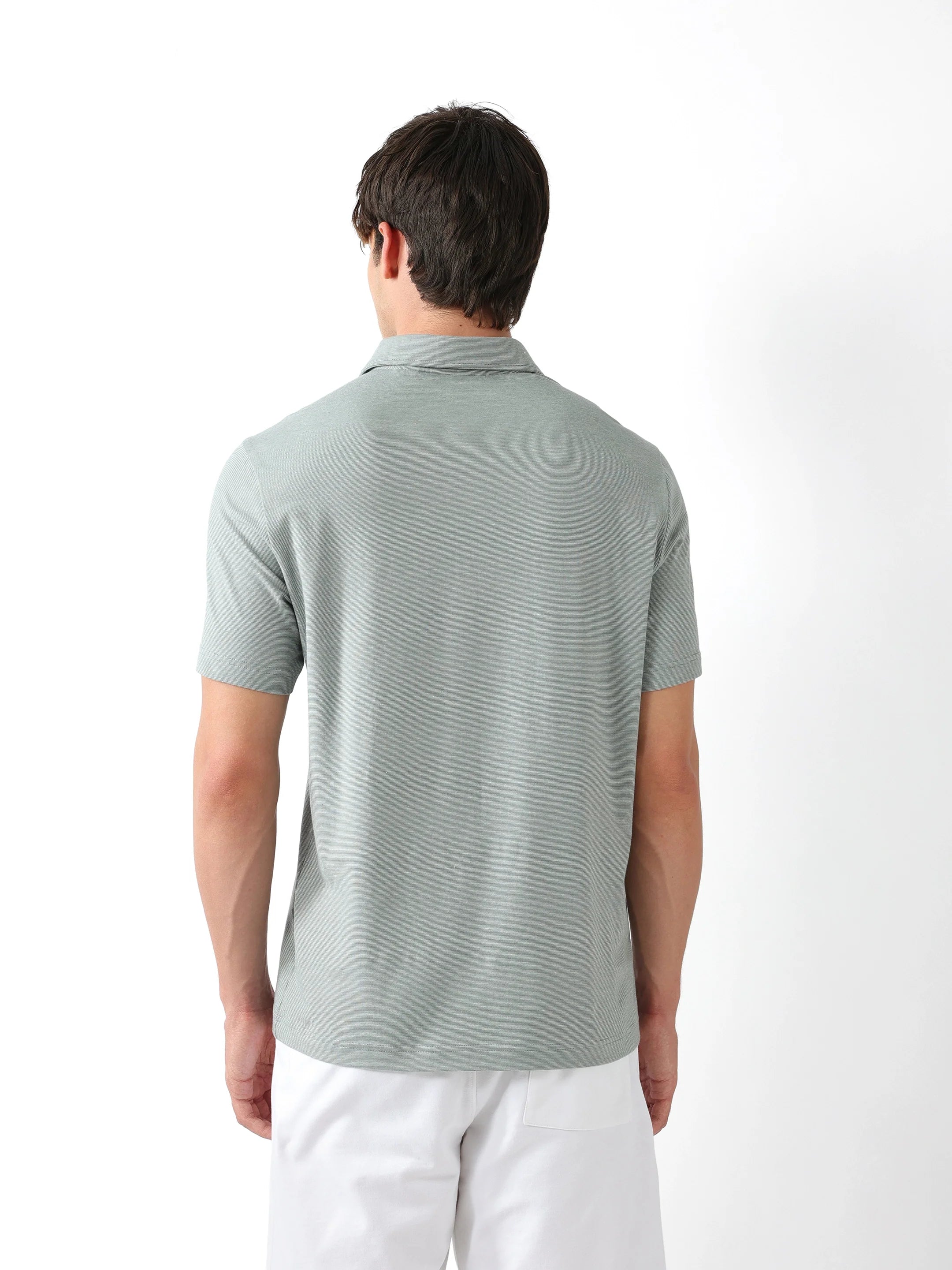 Men Green Regular Fit Polo