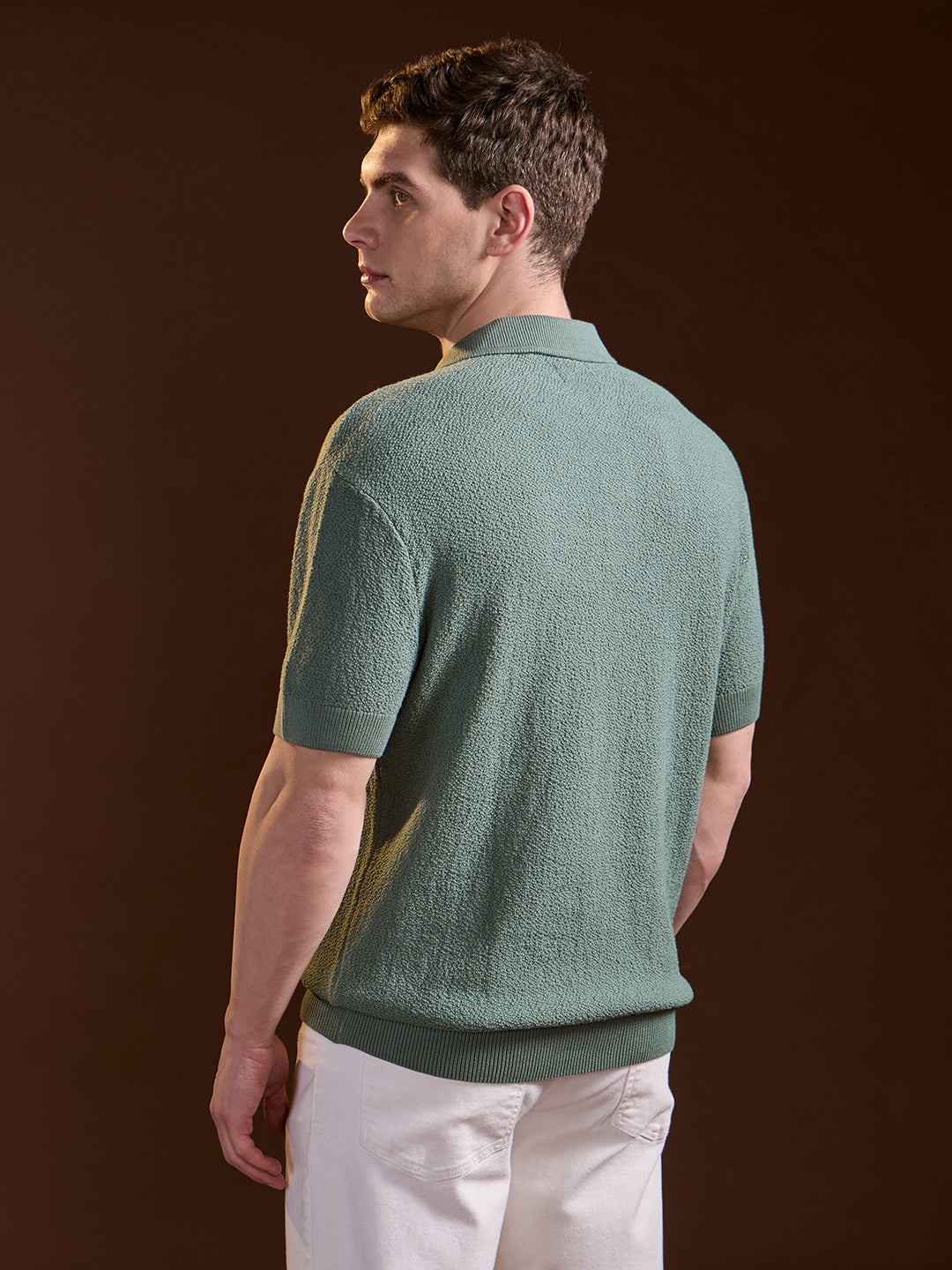 Men Green Solid Texture Knit Design Regular Fit Polo