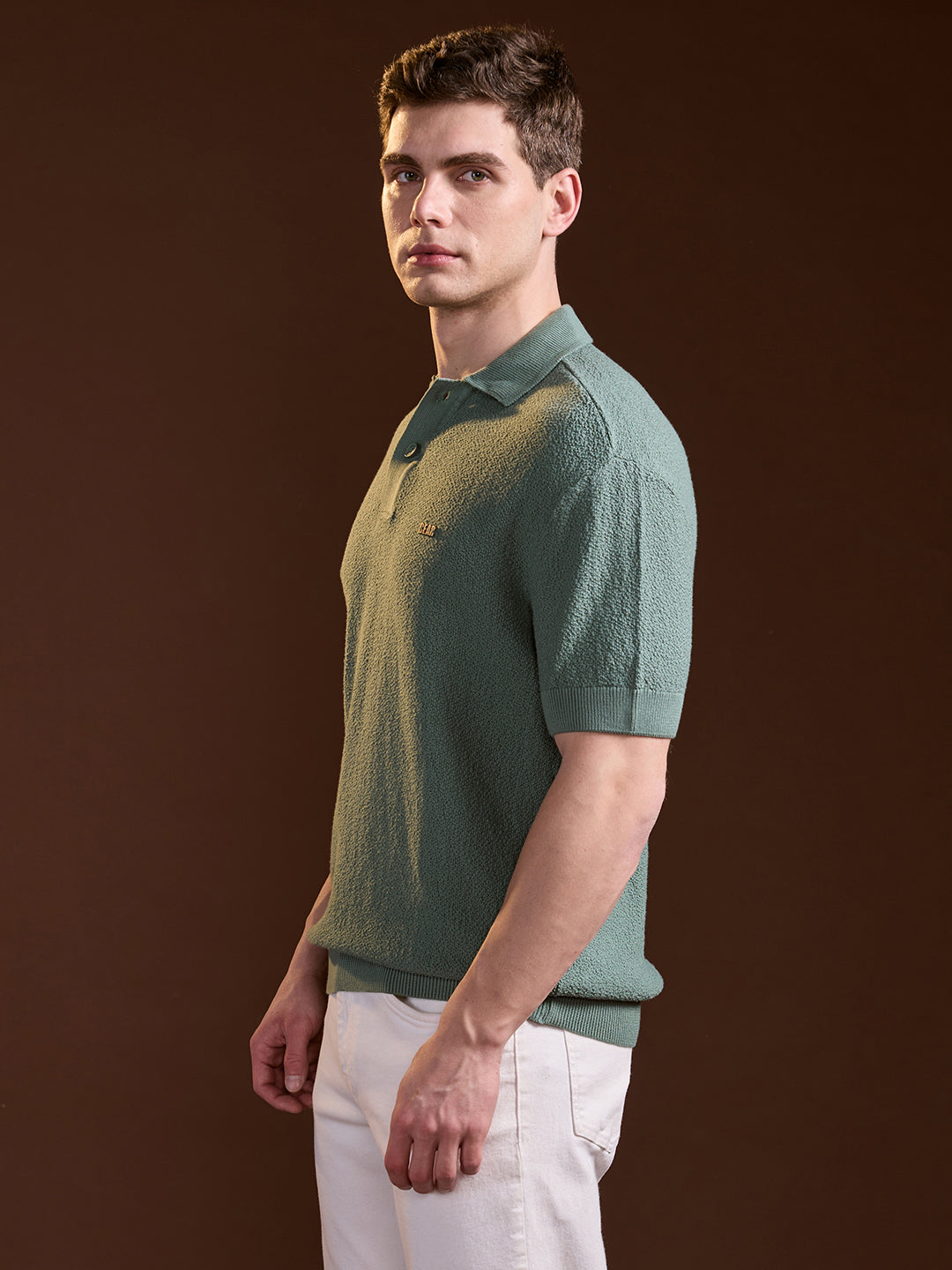 Men Green Solid Texture Knit Design Regular Fit Polo