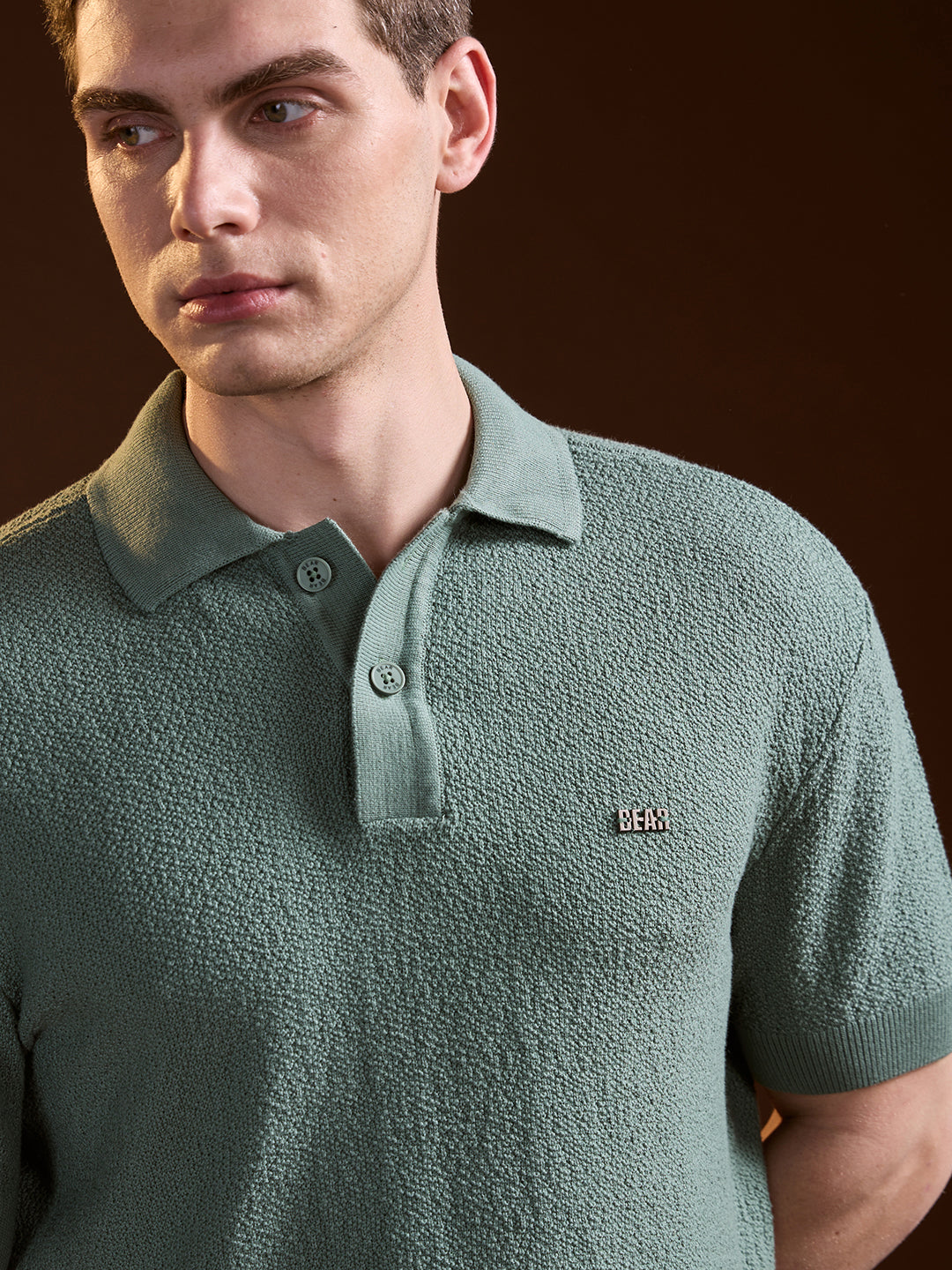 Men Green Solid Texture Knit Design Regular Fit Polo