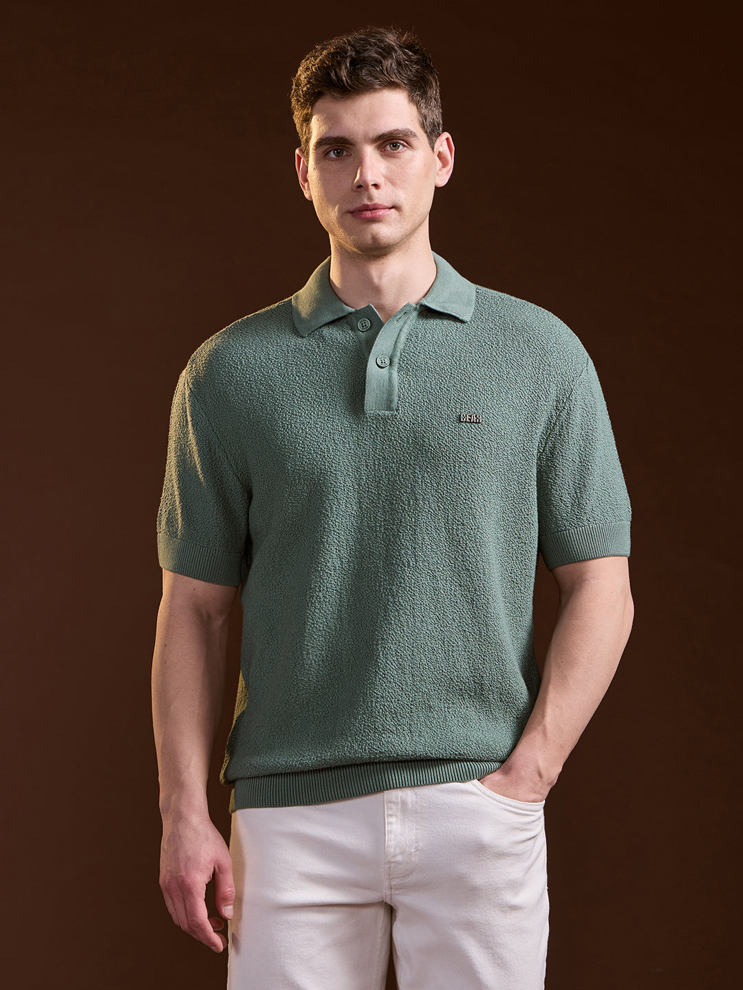 Men Green Solid Texture Knit Design Regular Fit Polo