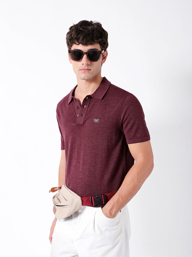 Men Maroon Solid Cotton Polo