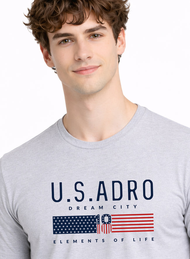 Men Grey Summer Tshirt