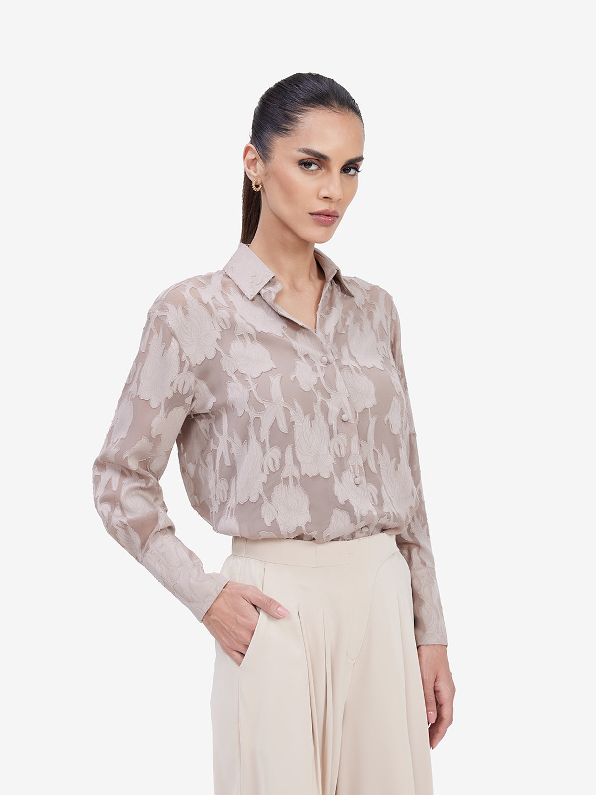Women Brown Sheer Semiformal Shirt