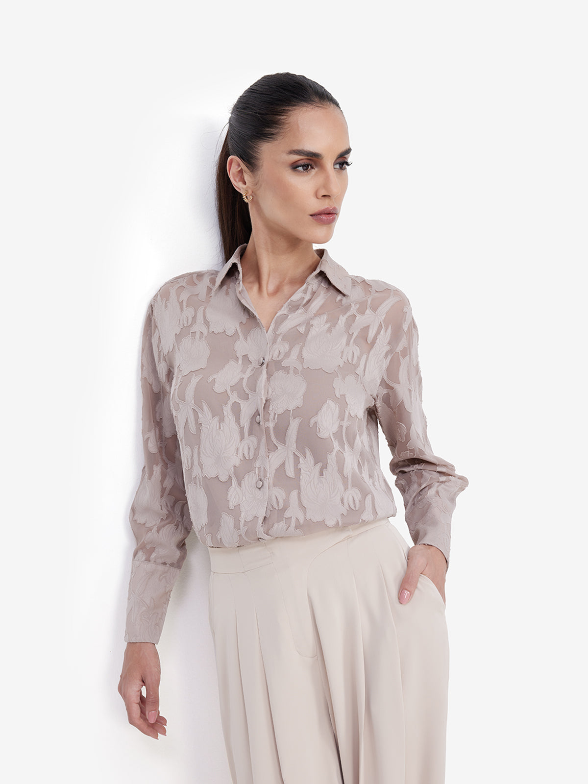 Women Brown Sheer Semiformal Shirt