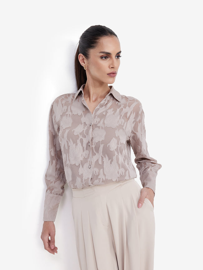 Women Brown Sheer Semiformal Shirt