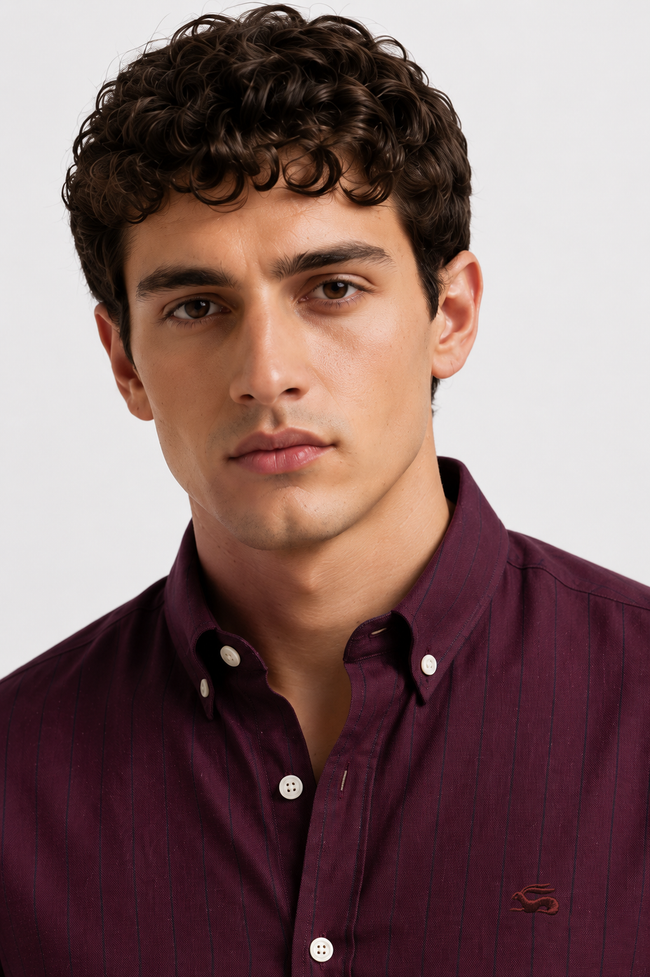 Men Wine Oxford Cotton Casual Shirt