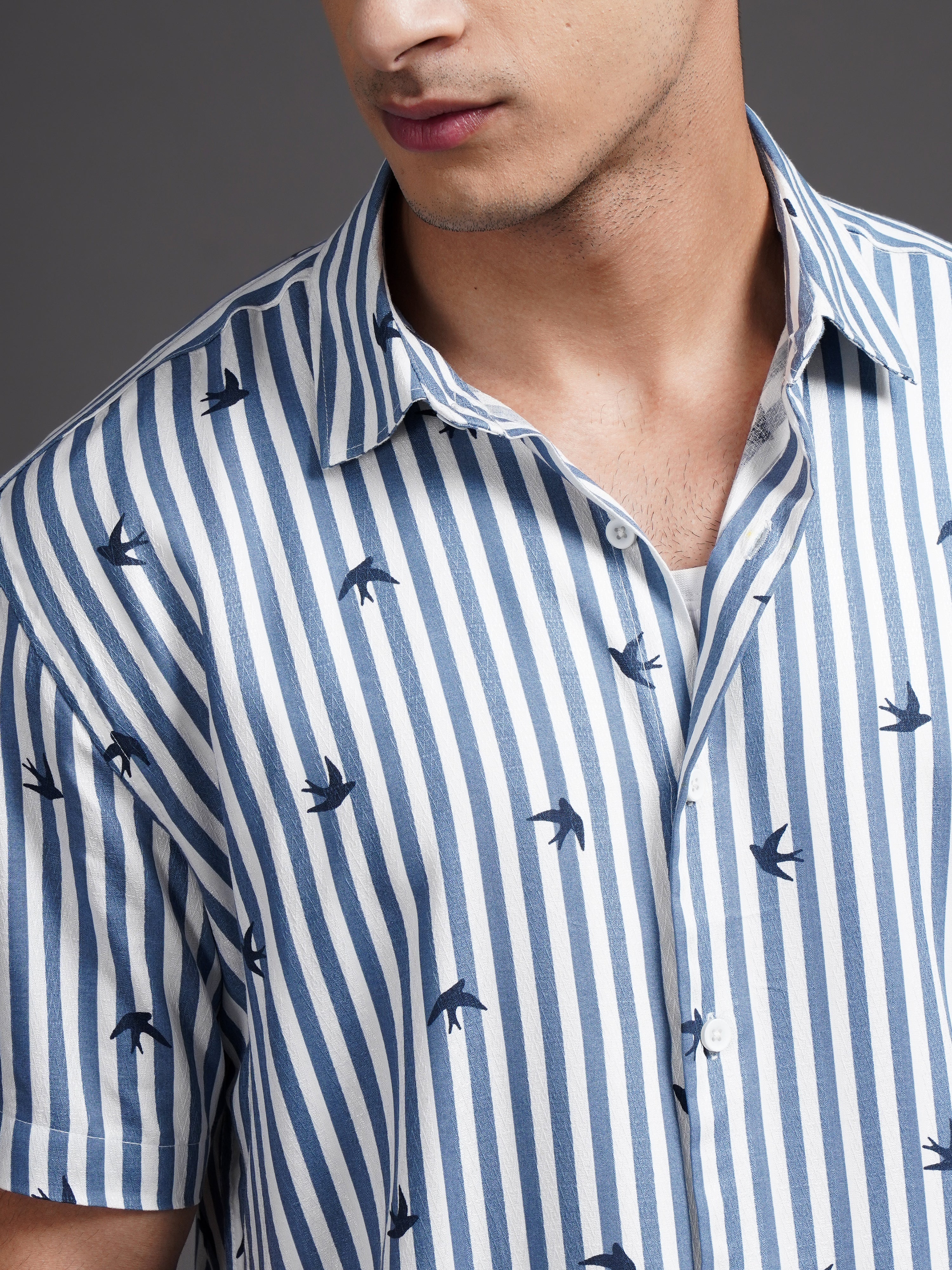 Men Elvan Blue Striped Shirt