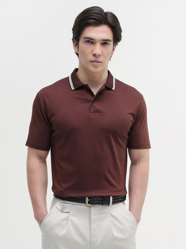 Men Brown Solid Polo