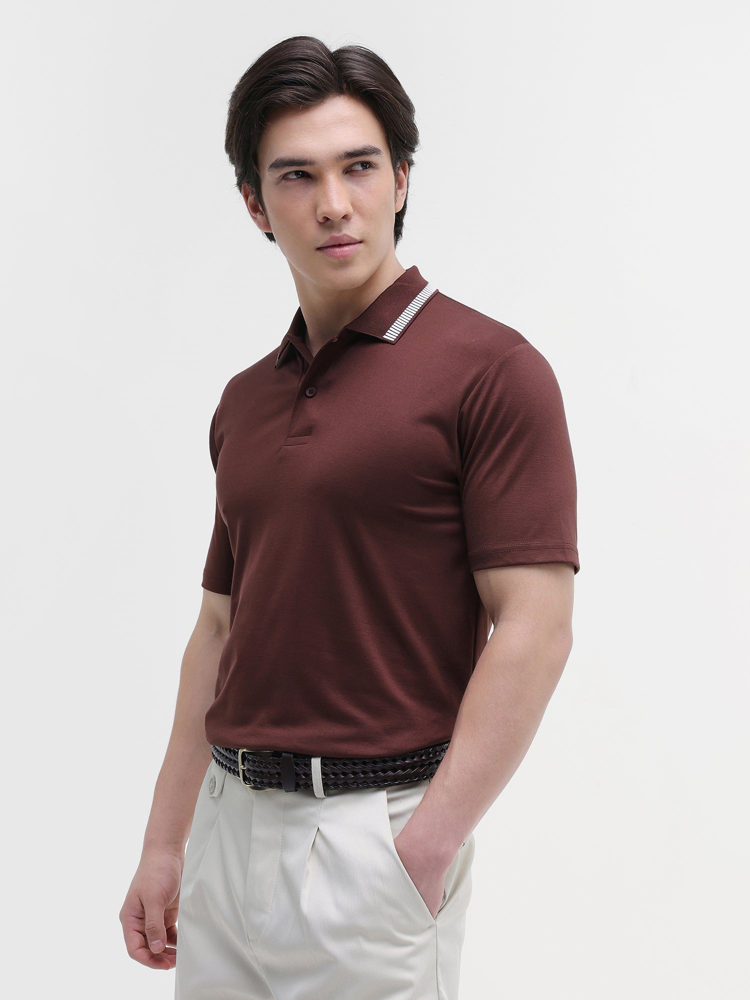 Men Brown Solid Polo