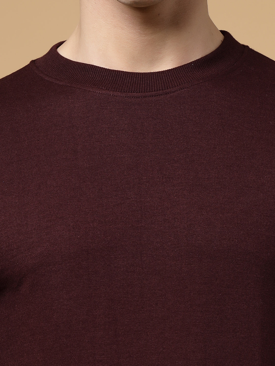 Men Basic Terry Sweatshirt