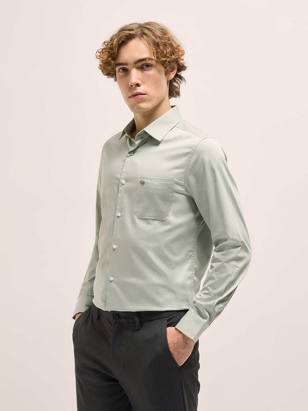 Men Light Green Tailored Fit Solid Formal Shirt