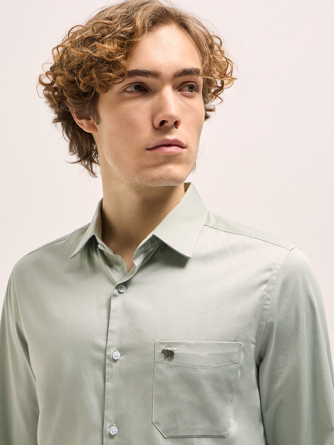 Men Light Green Tailored Fit Solid Formal Shirt
