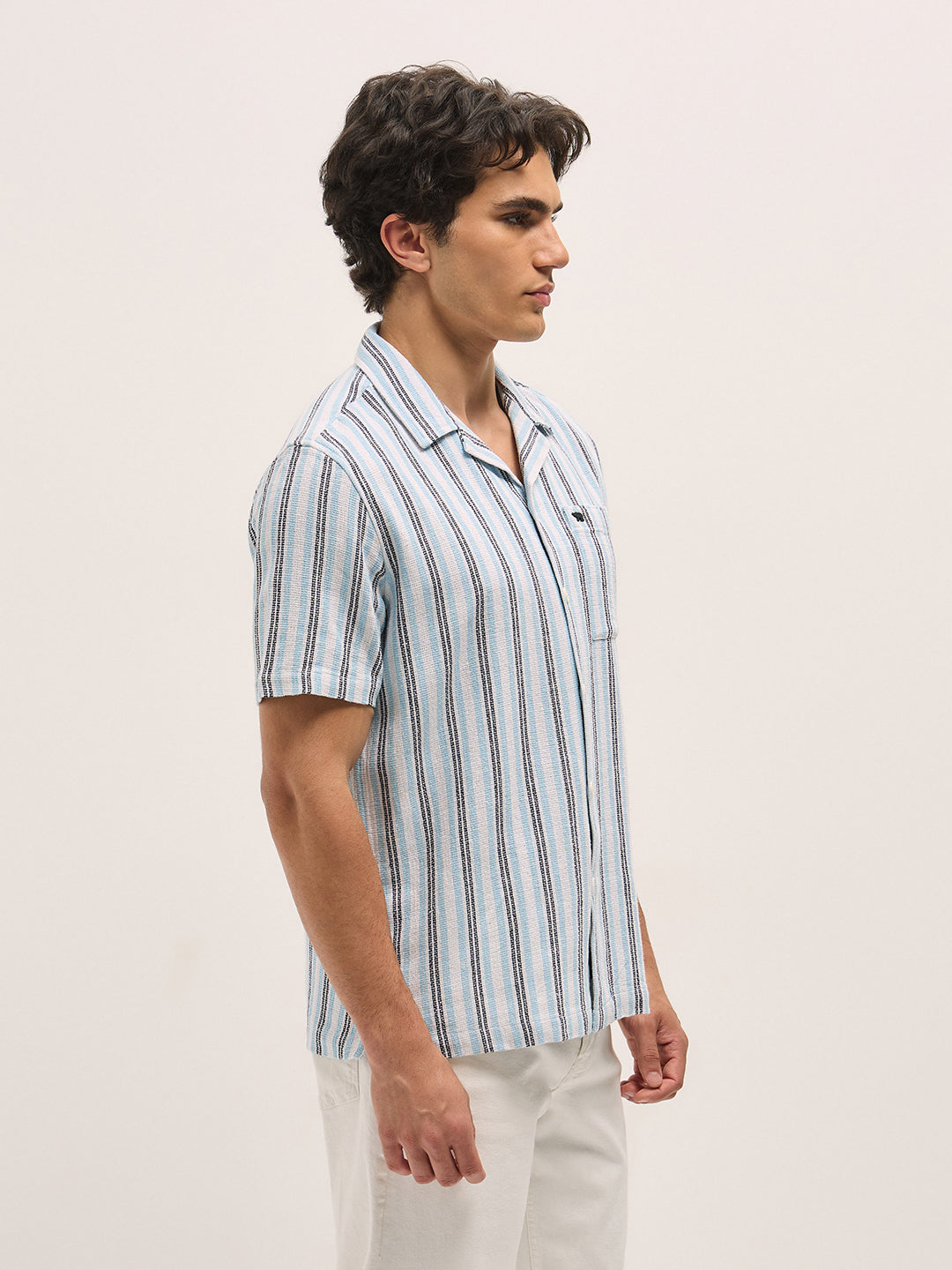 Men Multi-Color Stripe Regular Fit Casual Shirt