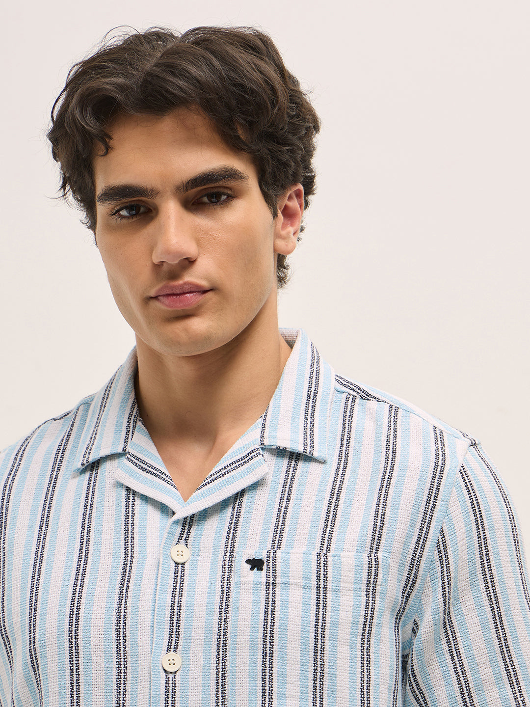 Men Multi-Color Stripe Regular Fit Casual Shirt