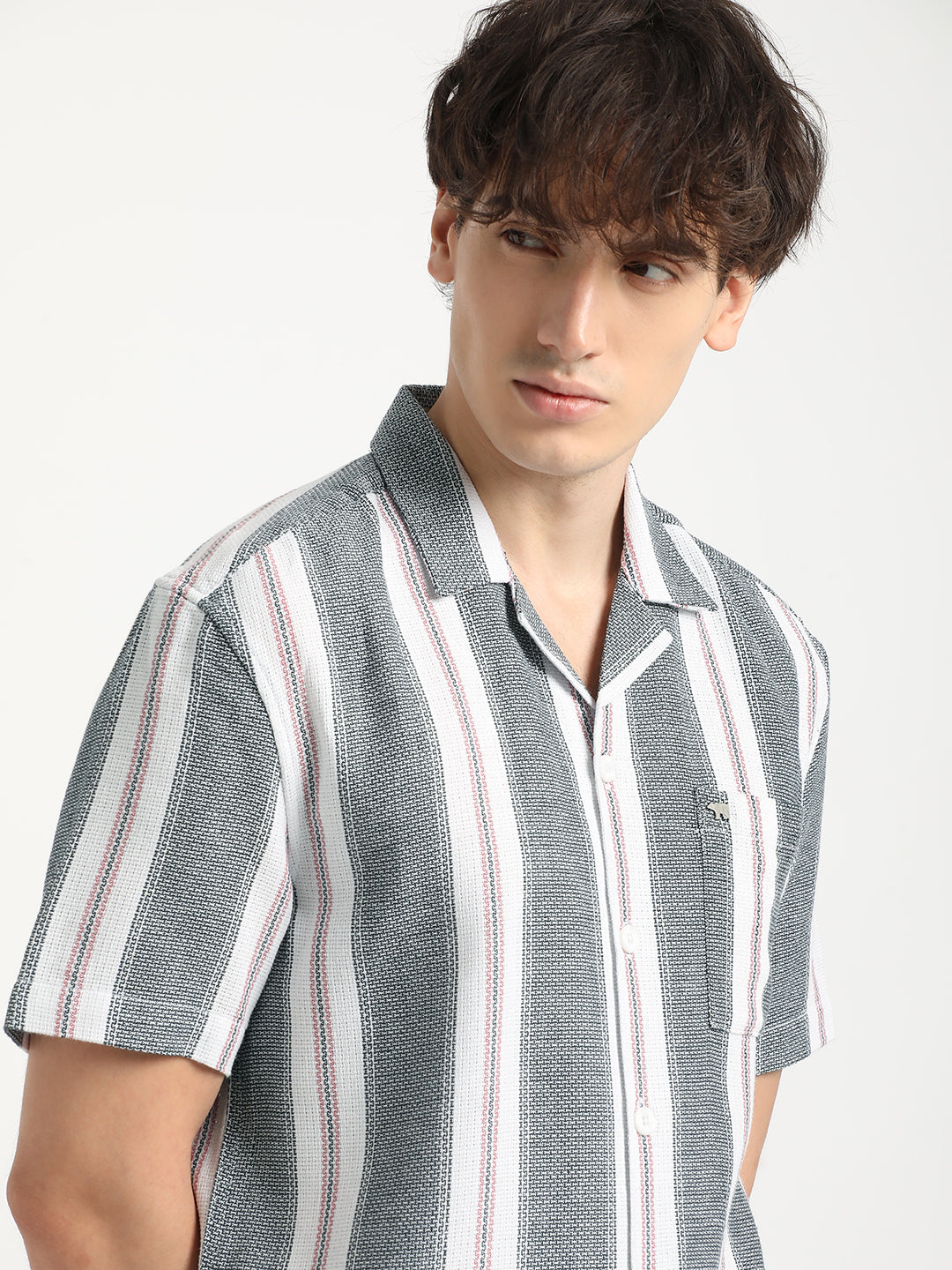Men  Blue Stripe Regular Fit Casual Shirt