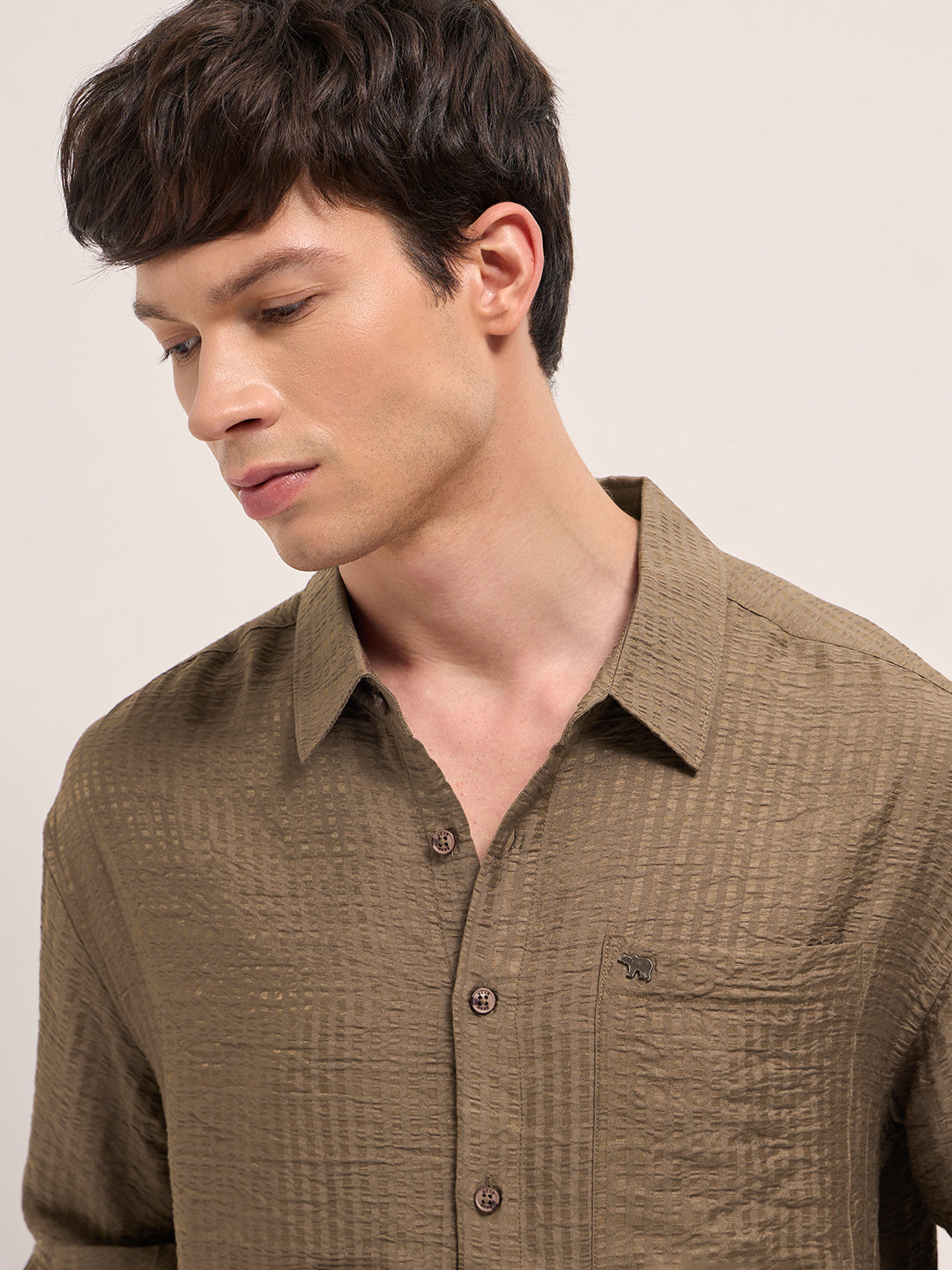 Men Brown Crinkled Stripe Textured Relaxed Fit Long Sleeve Shirt