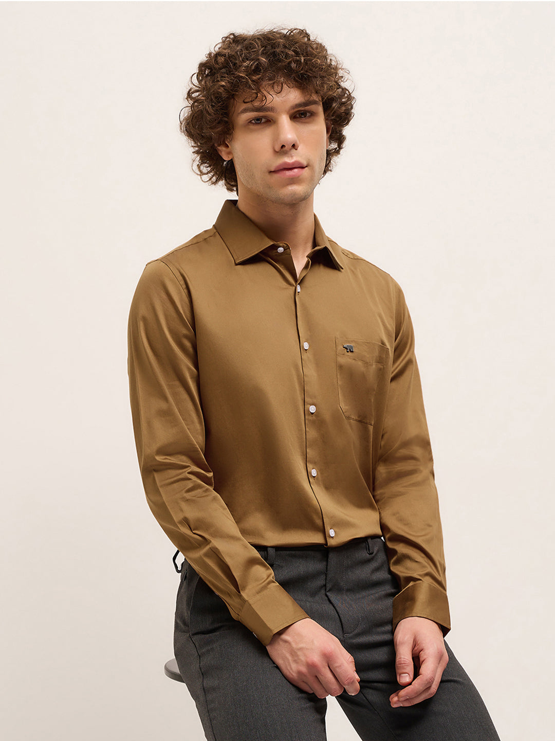 Men Brown Tailored Fit Solid Formal Shirt