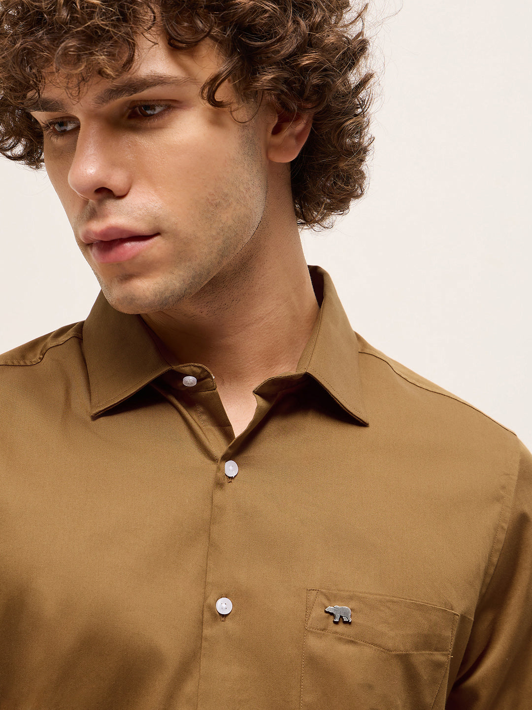 Men Brown Tailored Fit Solid Formal Shirt