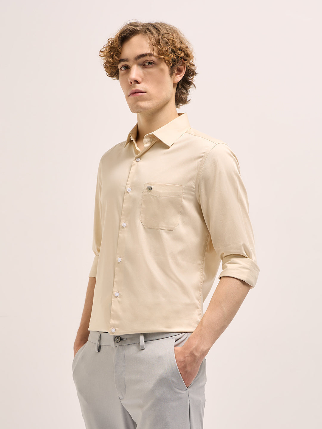 Men Beige Tailored Fit Solid Formal Shirt