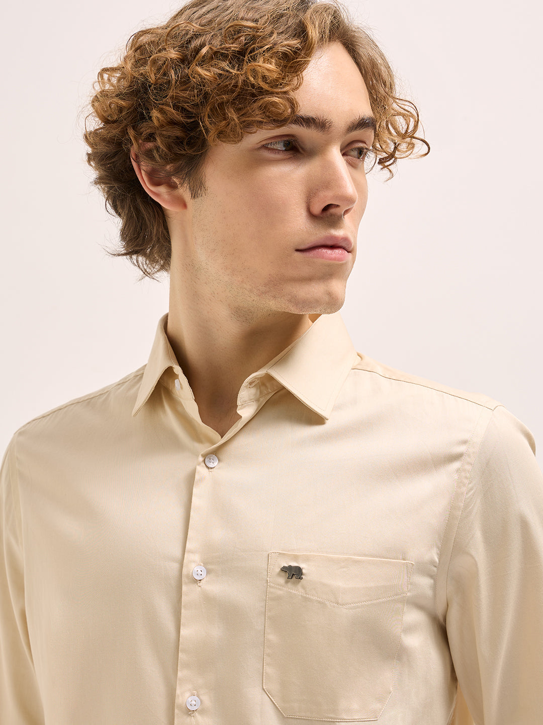 Men Beige Tailored Fit Solid Formal Shirt