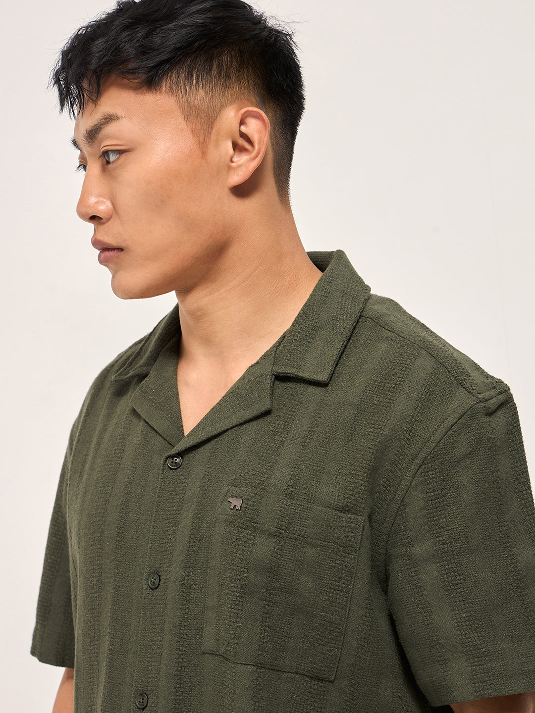 Men Green Textured Striped Regular Fit Casual Shirt