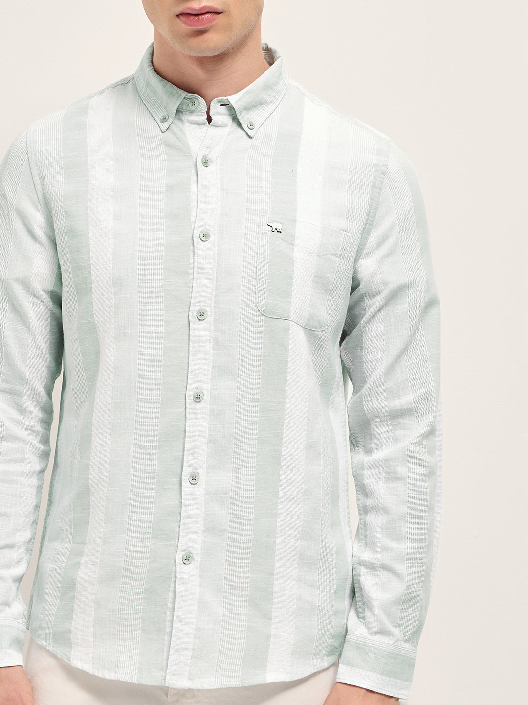 Men Light Green Textured Woven Stripe Slim Fit Cotton Casual Shirt