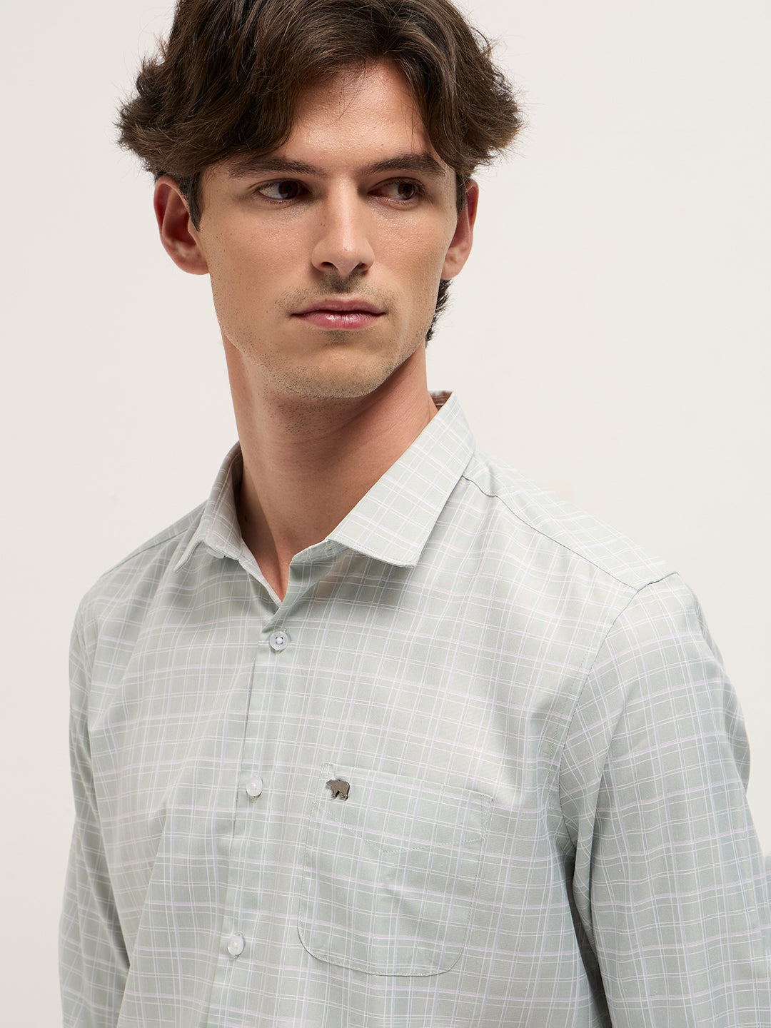 Men Light Green Checked Tailored Fit Formal Shirt.