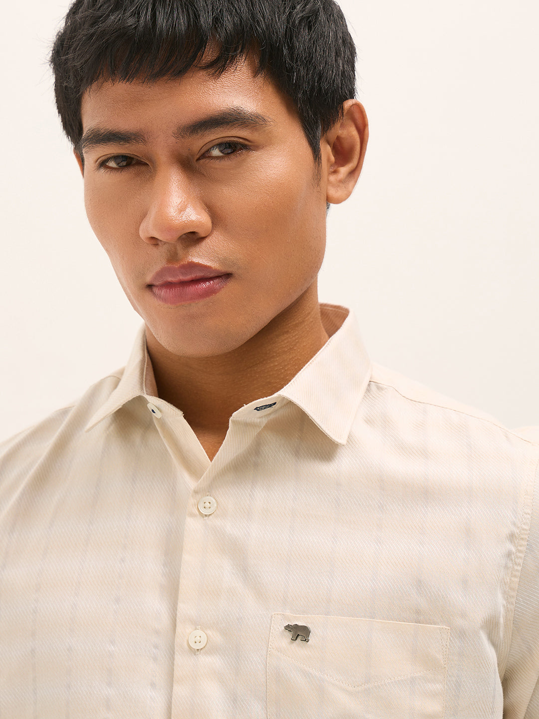 Men Beige Woven Stripe Tailored Fit Formal Shirt