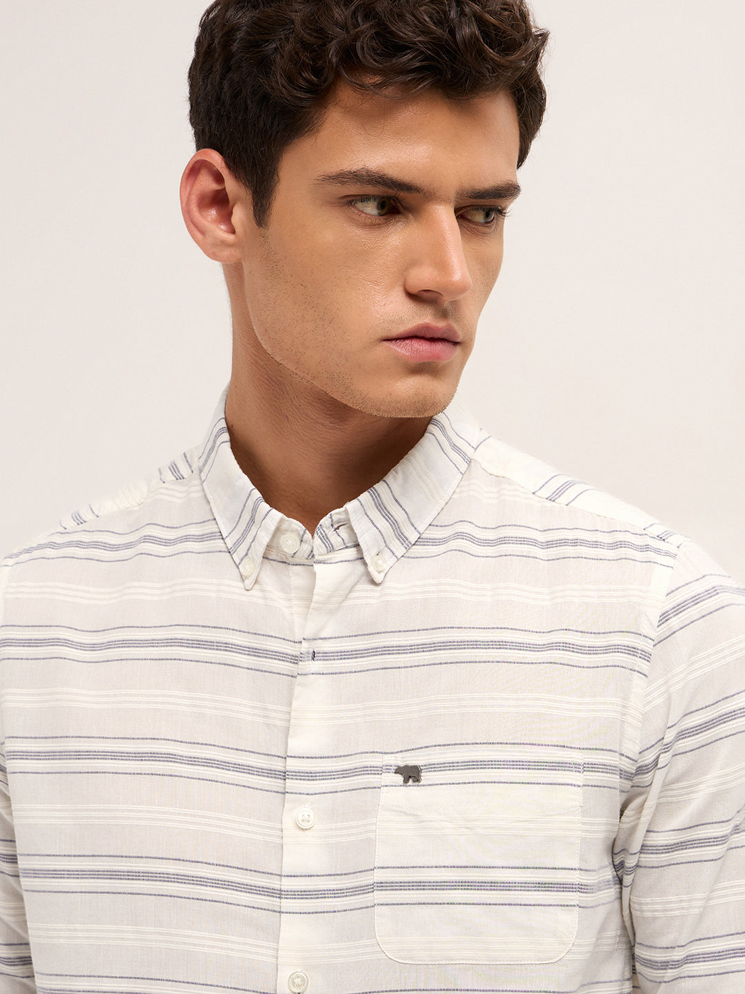 Men Pure Cotton Woven Striped Casual Shirt