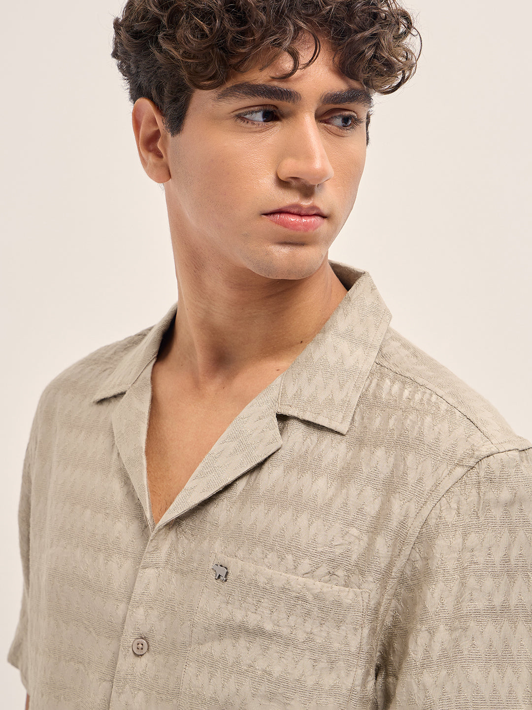 Men Beige Zigzag Textured Weave Relaxed Fit Half Sleeve Casual Shirt