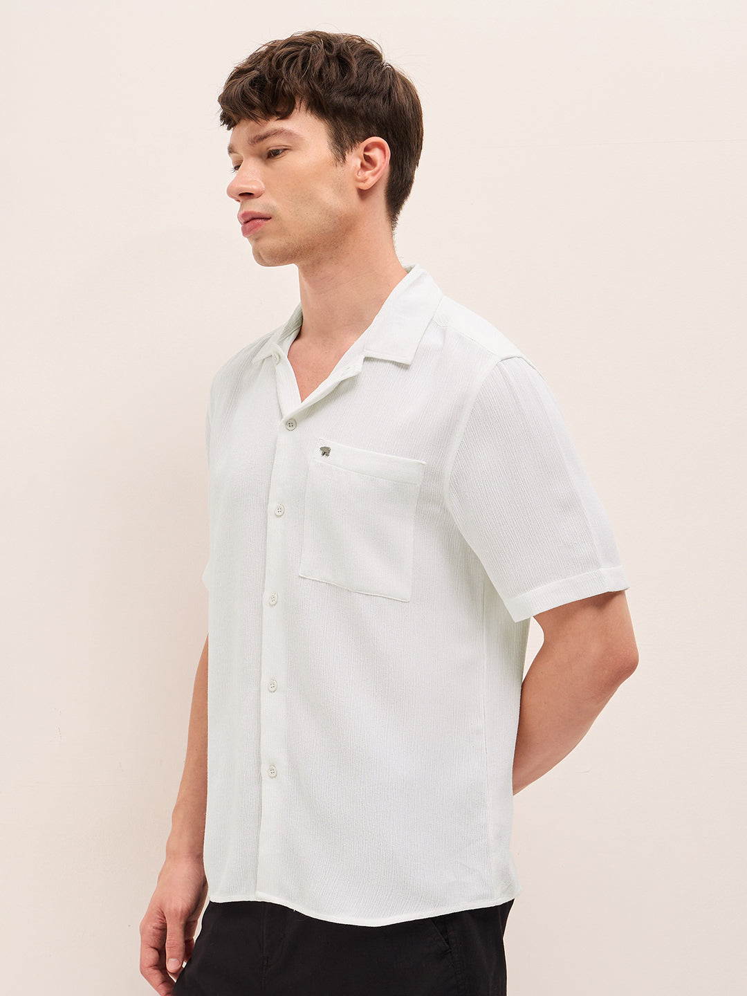 Men Woven Textured Casual Shirt