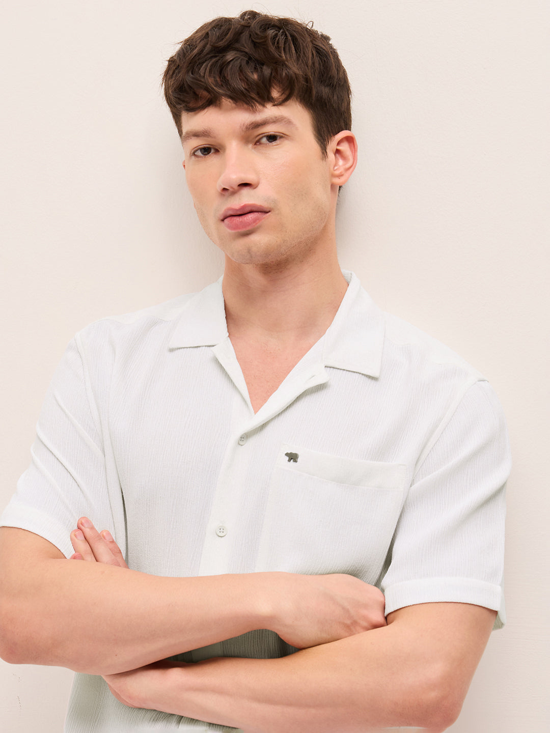 Men Woven Textured Casual Shirt