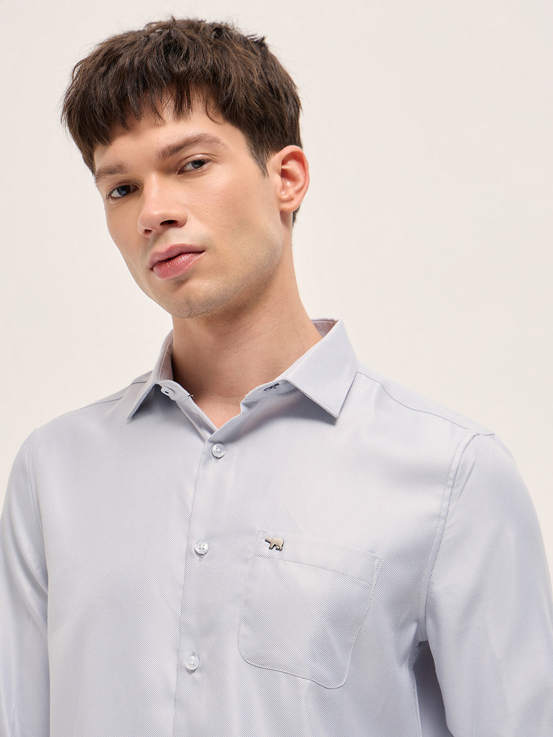 Men Grey Formal Shirt