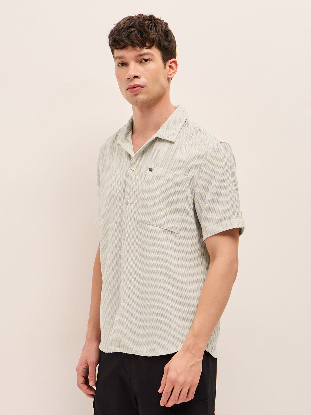 Men Woven Textured Casual Shirt