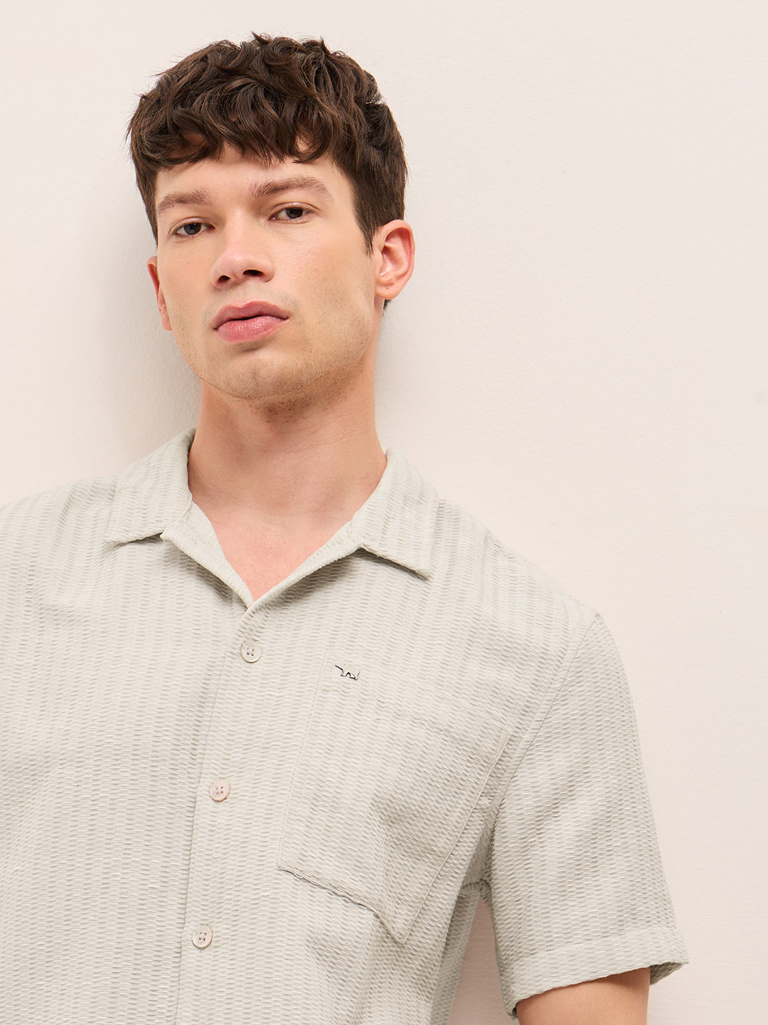 Men Woven Textured Casual Shirt
