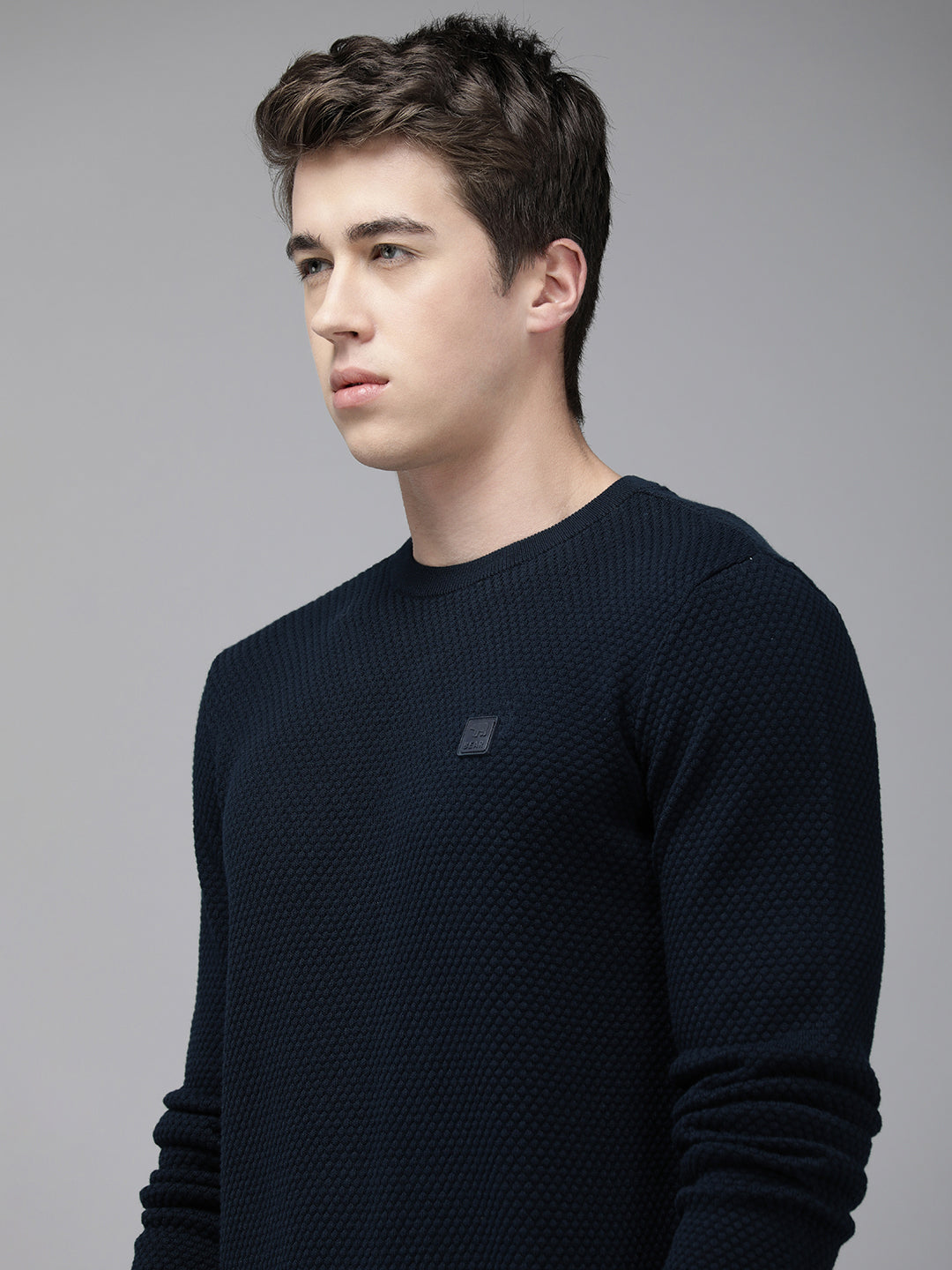 Men Ardor Edition Blue Slim Fit Self Design Pure Cotton Sweatshirt