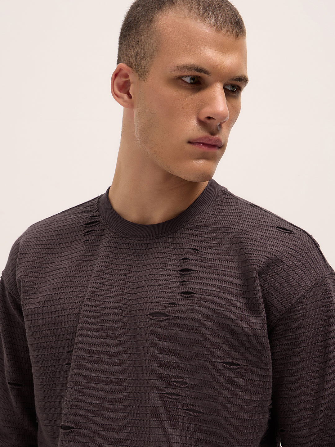 Men Purple Regular Fit Crew Neck T-Shirt