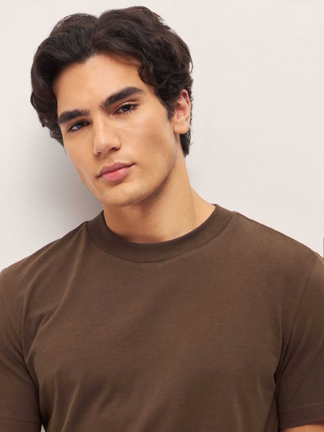 Men Brown Solid Crew Neck Regular Fit T-Shirt