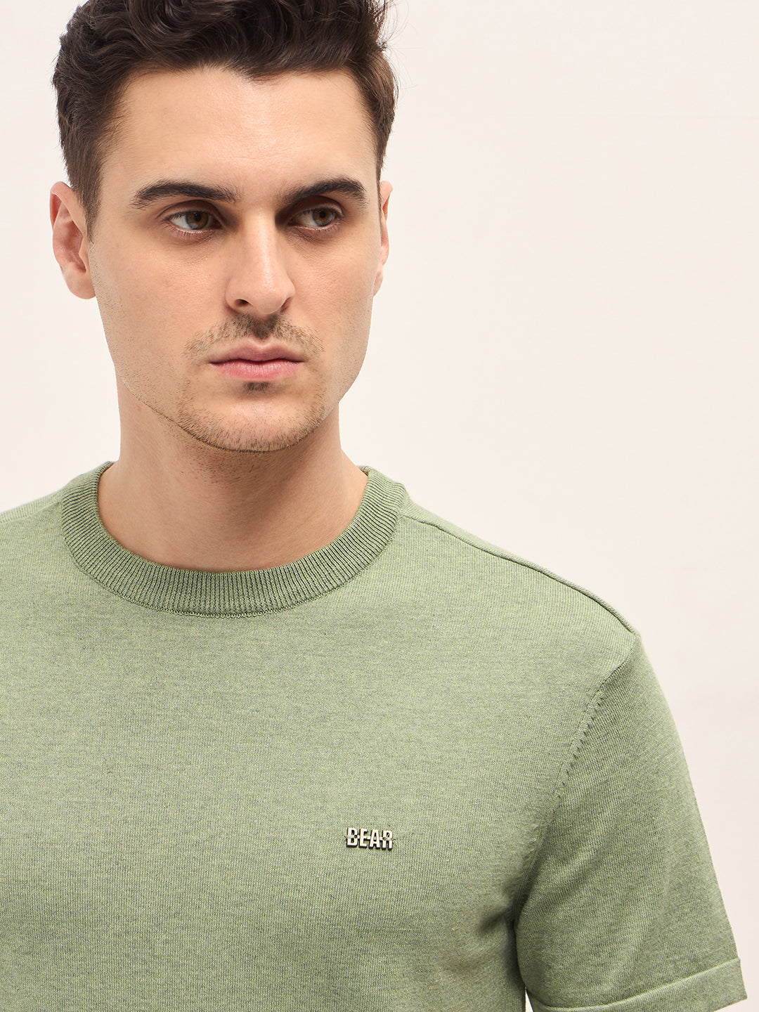 Men Light Green Solid Regular Fit Ribbed Crew Neck T-shirt
