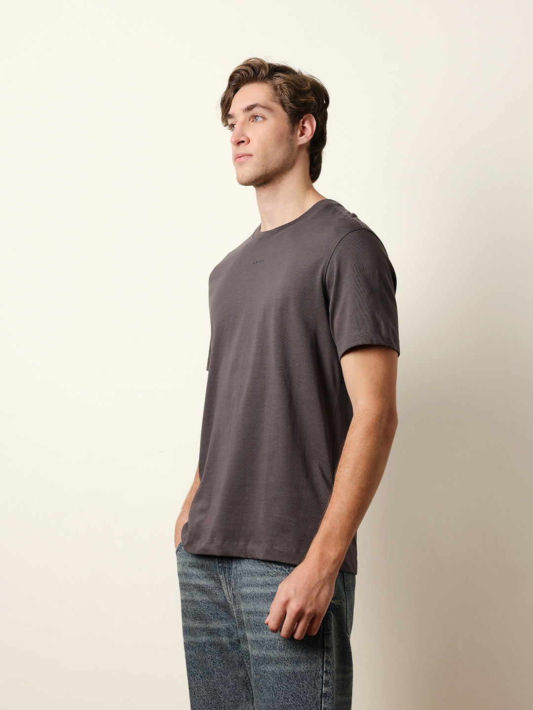 Men Grey Half Sleeve Regular T-Shirt