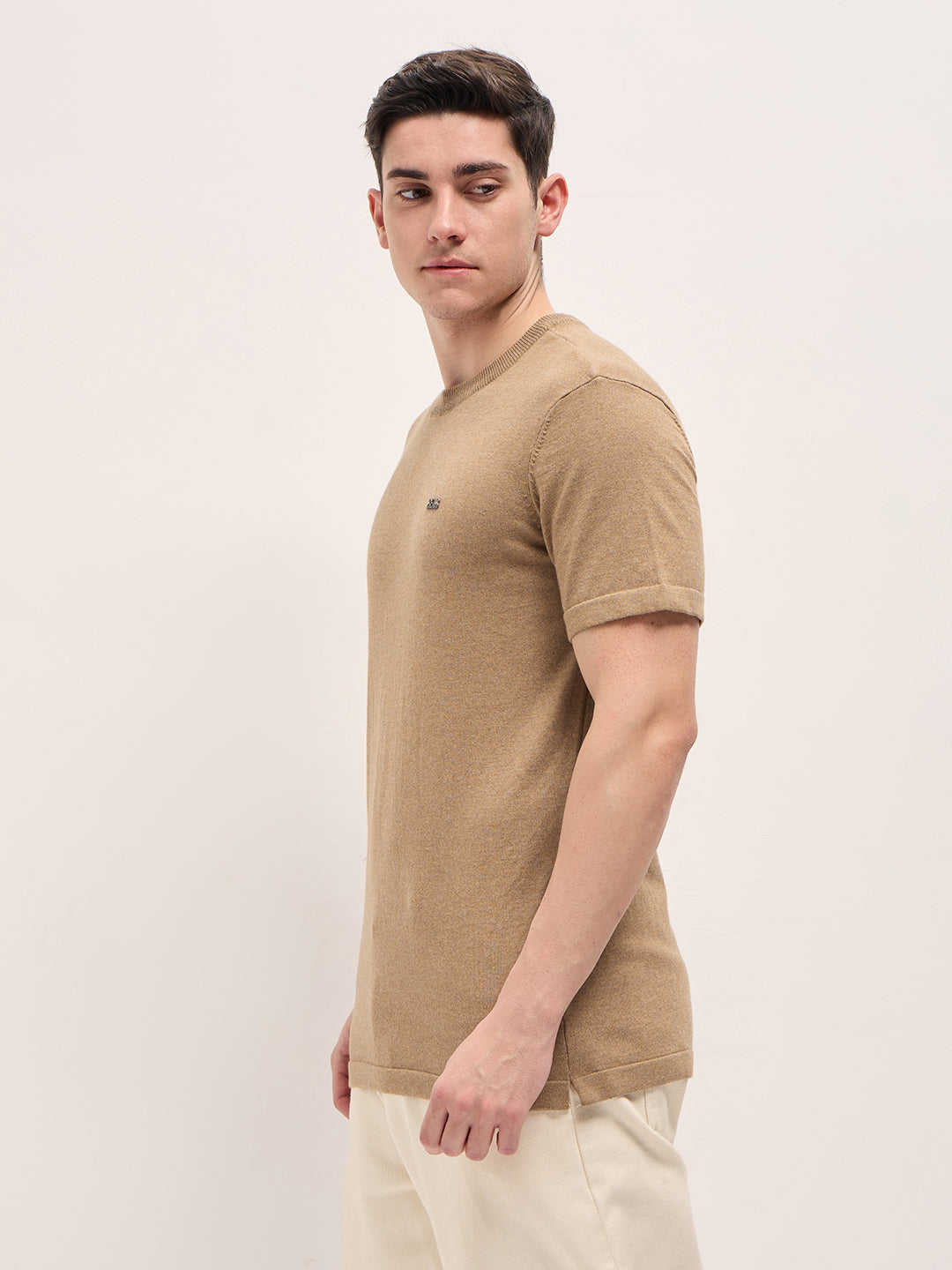 Men Brown Solid Regular Fit Ribbed Crew Neck T-shirt