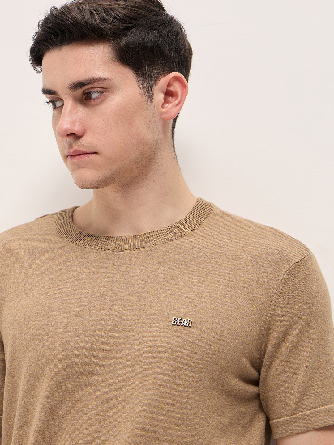 Men Brown Solid Regular Fit Ribbed Crew Neck T-shirt