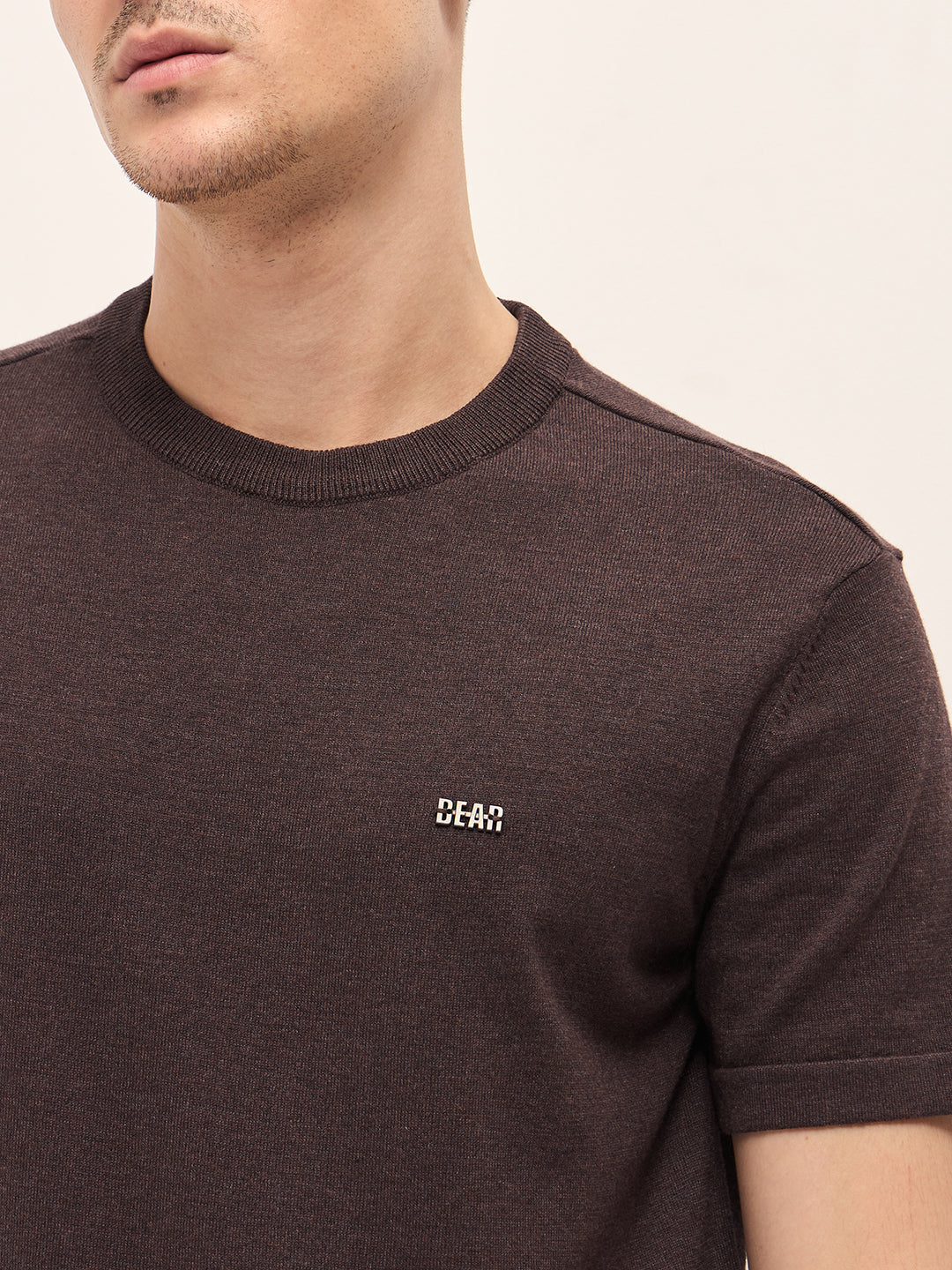 Men Brown Solid Regular Fit Ribbed Crew Neck T-shirt