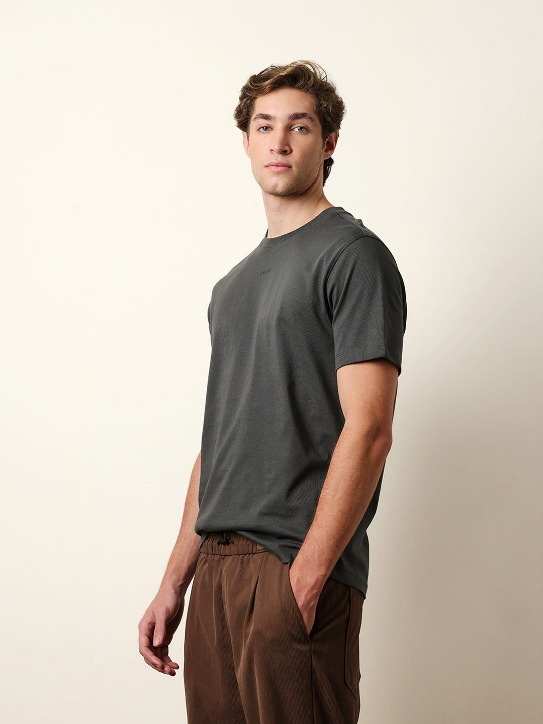 Men Grey Half Sleeve Regular T-Shirt