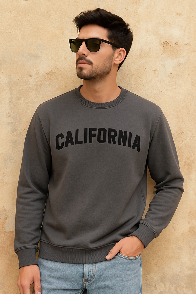 Men Grey Printed Sweatshirt